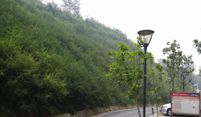 住宅小区边坡情形复绿