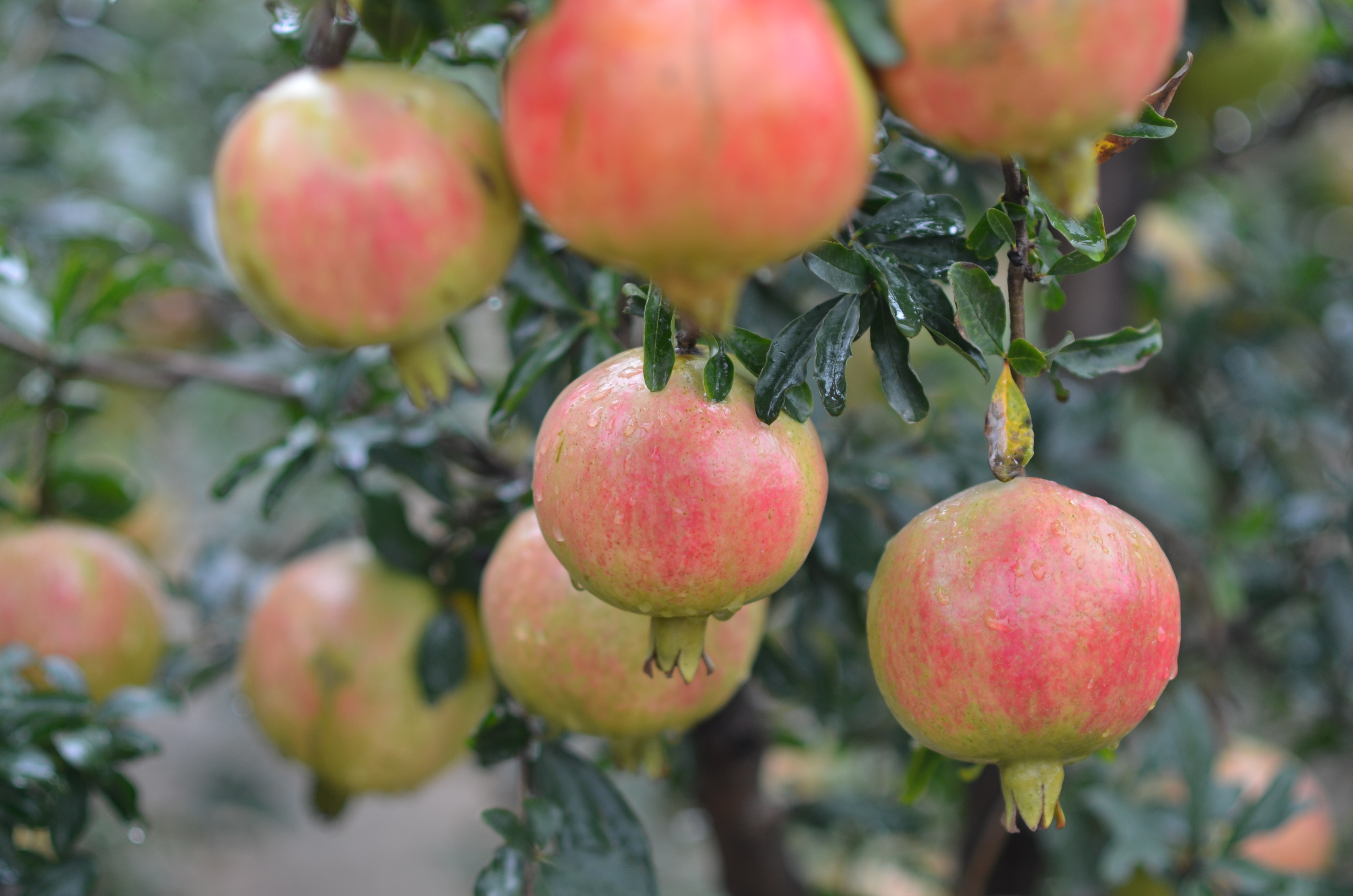 008PG国际(中国集团)-官方网站