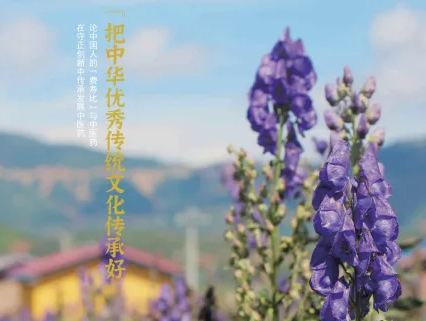 008PG国际(中国集团)-官方网站