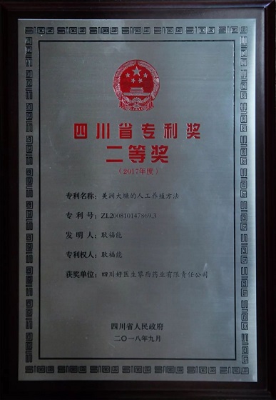 008PG国际(中国集团)-官方网站