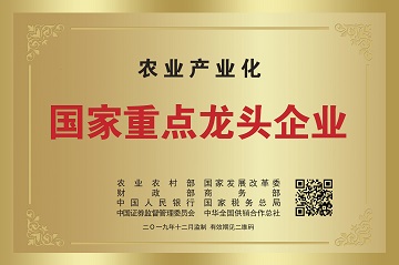 008PG国际(中国集团)-官方网站