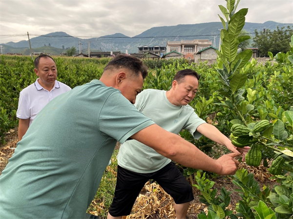 008PG国际(中国集团)-官方网站