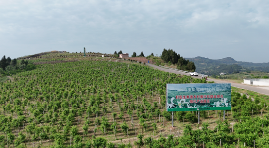 008PG国际(中国集团)-官方网站