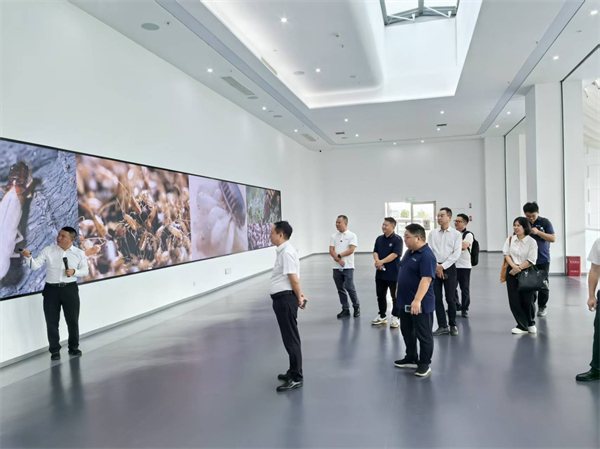 008PG国际(中国集团)-官方网站