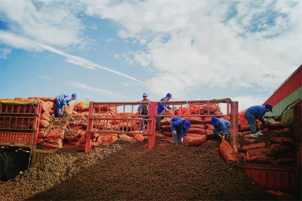 008PG国际(中国集团)-官方网站