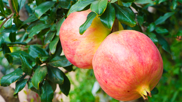 008PG国际(中国集团)-官方网站