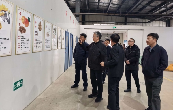 008PG国际(中国集团)-官方网站