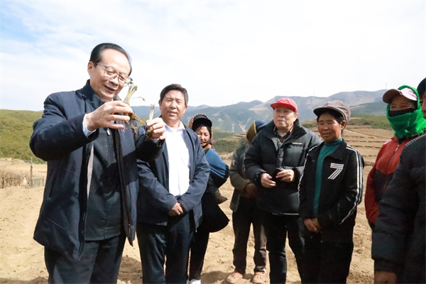 008PG国际(中国集团)-官方网站