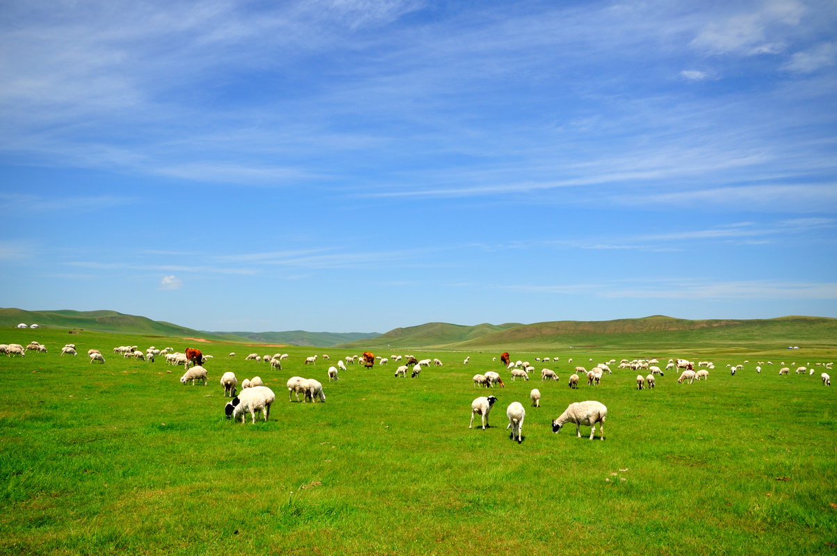 008PG国际(中国集团)-官方网站