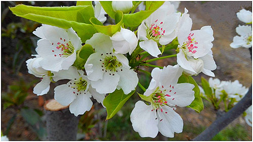 008PG国际(中国集团)-官方网站