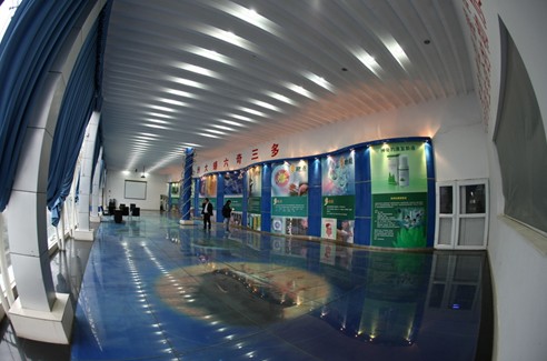 008PG国际美洲大蠊GAP养殖基地