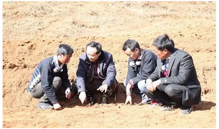 耿福能在凉山州布拖县乐安乡火灯村调研指导附子莳植