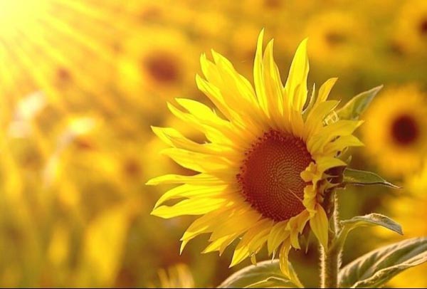 008PG国际(中国集团)-官方网站