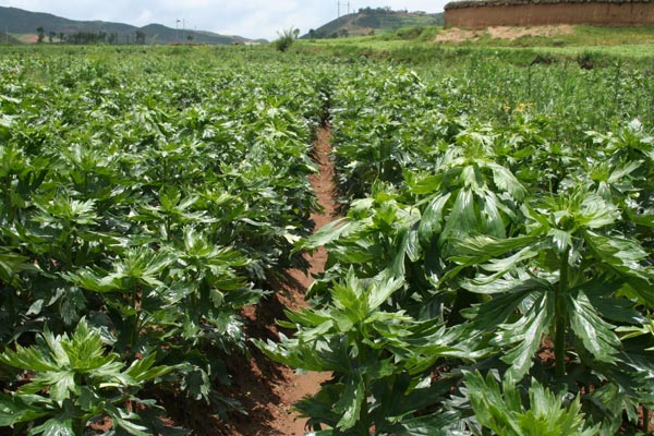 008PG国际(中国集团)-官方网站