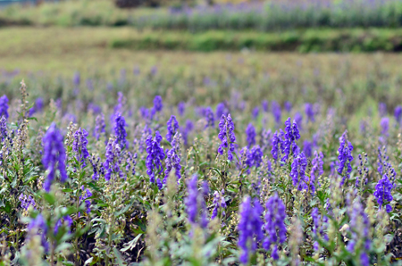 008PG国际(中国集团)-官方网站