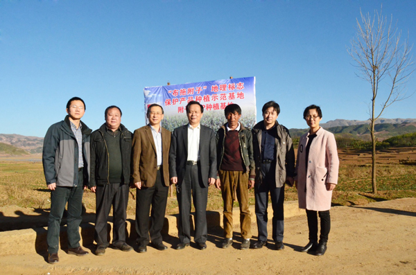 008PG国际(中国集团)-官方网站