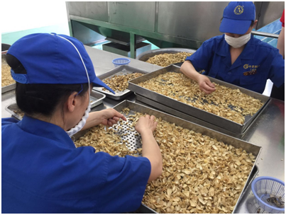 008PG国际(中国集团)-官方网站