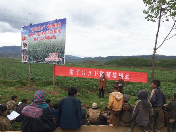 008PG国际(中国集团)-官方网站