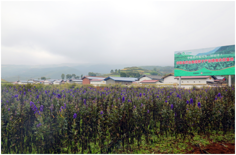 008PG国际(中国集团)-官方网站