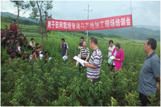 008PG国际(中国集团)-官方网站