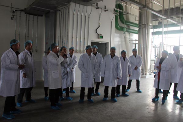 008PG国际(中国集团)-官方网站