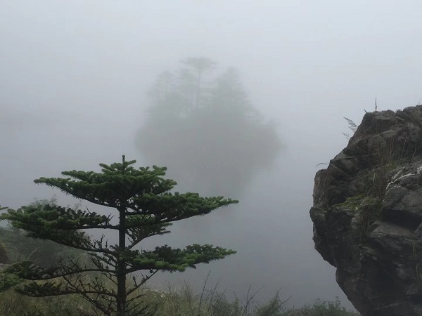 008PG国际(中国集团)-官方网站