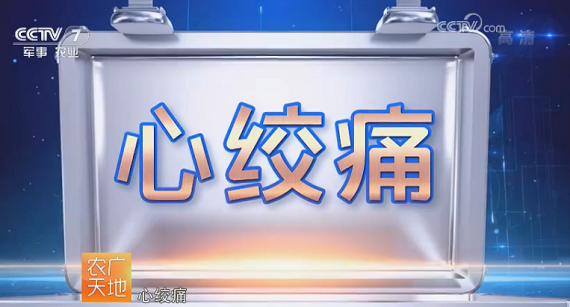 008PG国际(中国集团)-官方网站