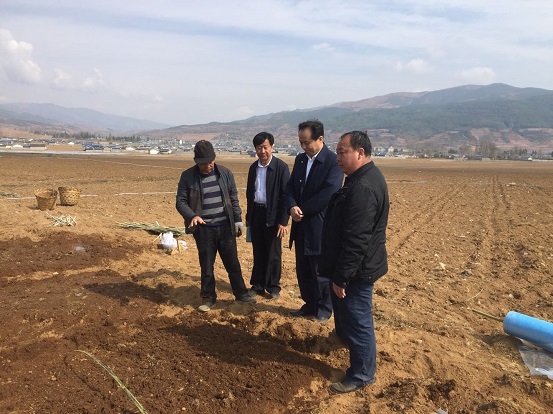 008PG国际(中国集团)-官方网站