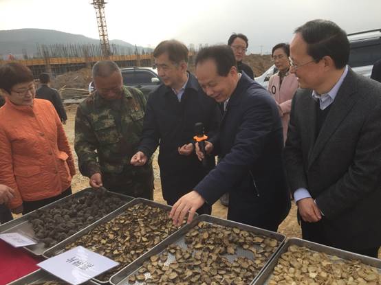 008PG国际(中国集团)-官方网站