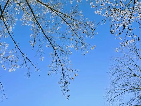 008PG国际(中国集团)-官方网站