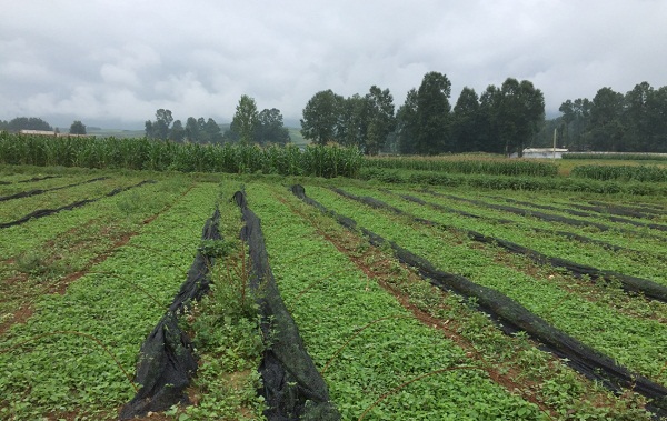 008PG国际(中国集团)-官方网站