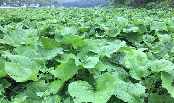 008PG国际(中国集团)-官方网站