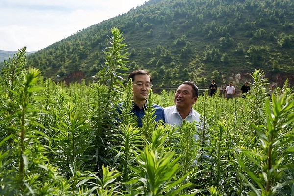 008PG国际(中国集团)-官方网站