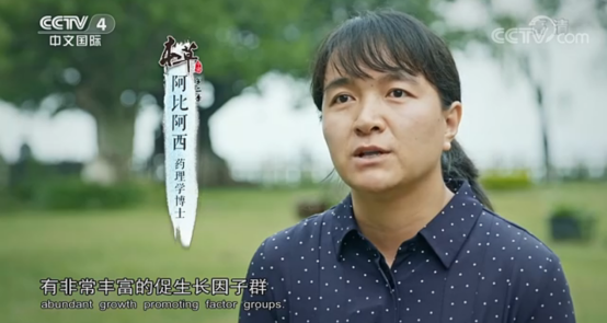 008PG国际(中国集团)-官方网站