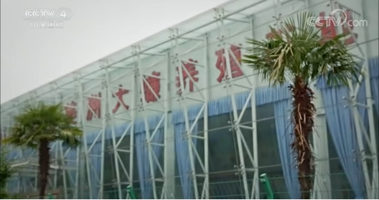 008PG国际(中国集团)-官方网站