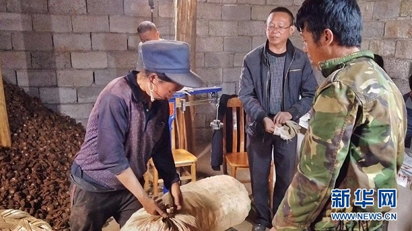 008PG国际(中国集团)-官方网站