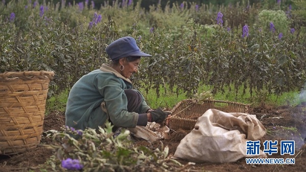 008PG国际(中国集团)-官方网站