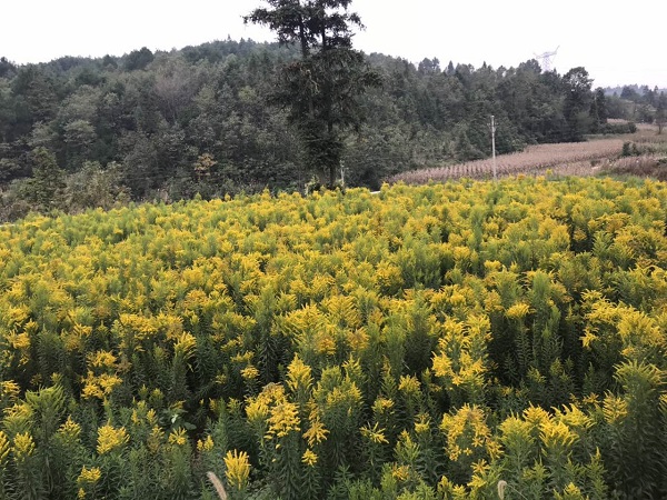 008PG国际(中国集团)-官方网站