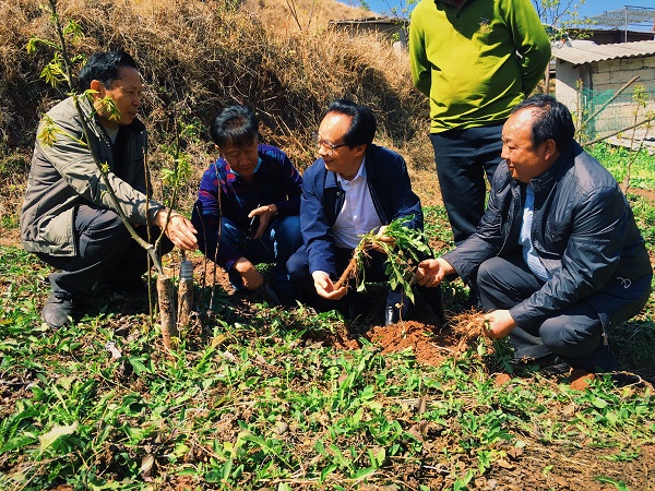 008PG国际(中国集团)-官方网站