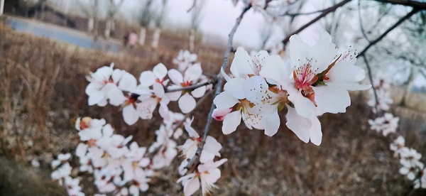 008PG国际(中国集团)-官方网站