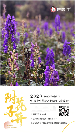 008PG国际(中国集团)-官方网站