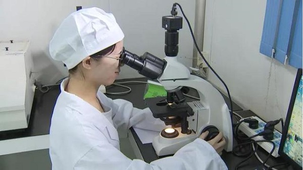 008PG国际(中国集团)-官方网站