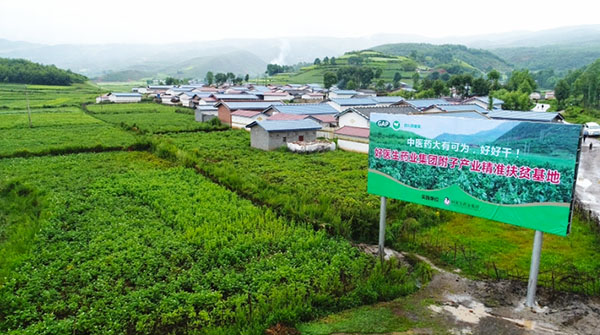 008PG国际(中国集团)-官方网站