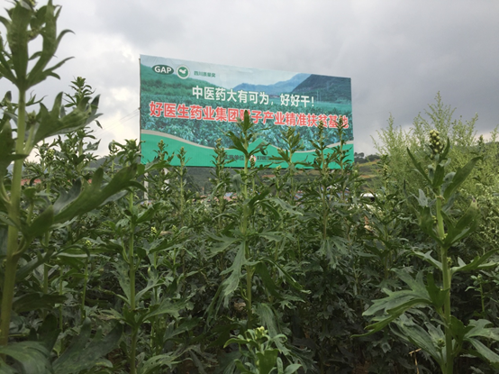 008PG国际(中国集团)-官方网站