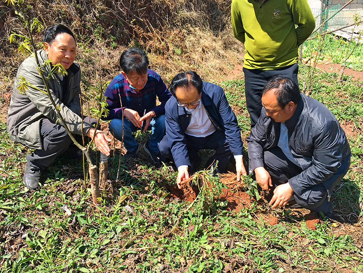 008PG国际(中国集团)-官方网站