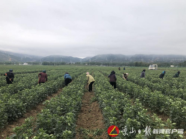 008PG国际(中国集团)-官方网站