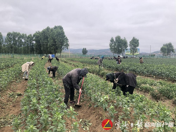 008PG国际(中国集团)-官方网站