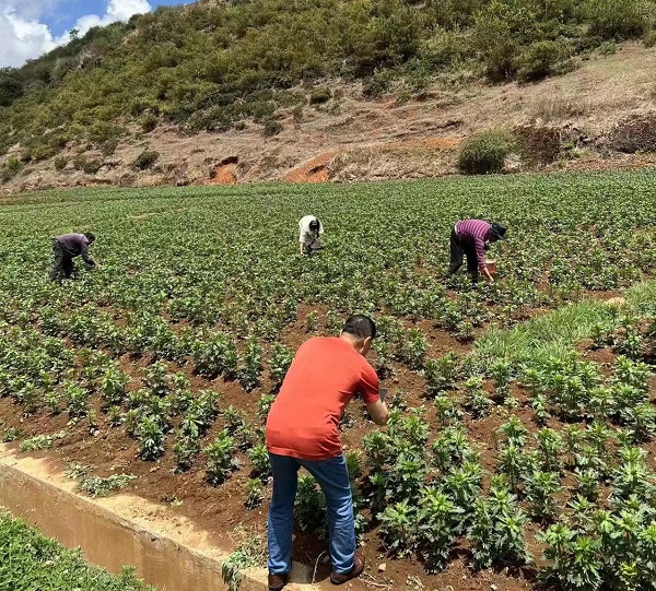 008PG国际(中国集团)-官方网站
